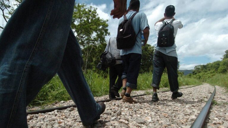migrantes